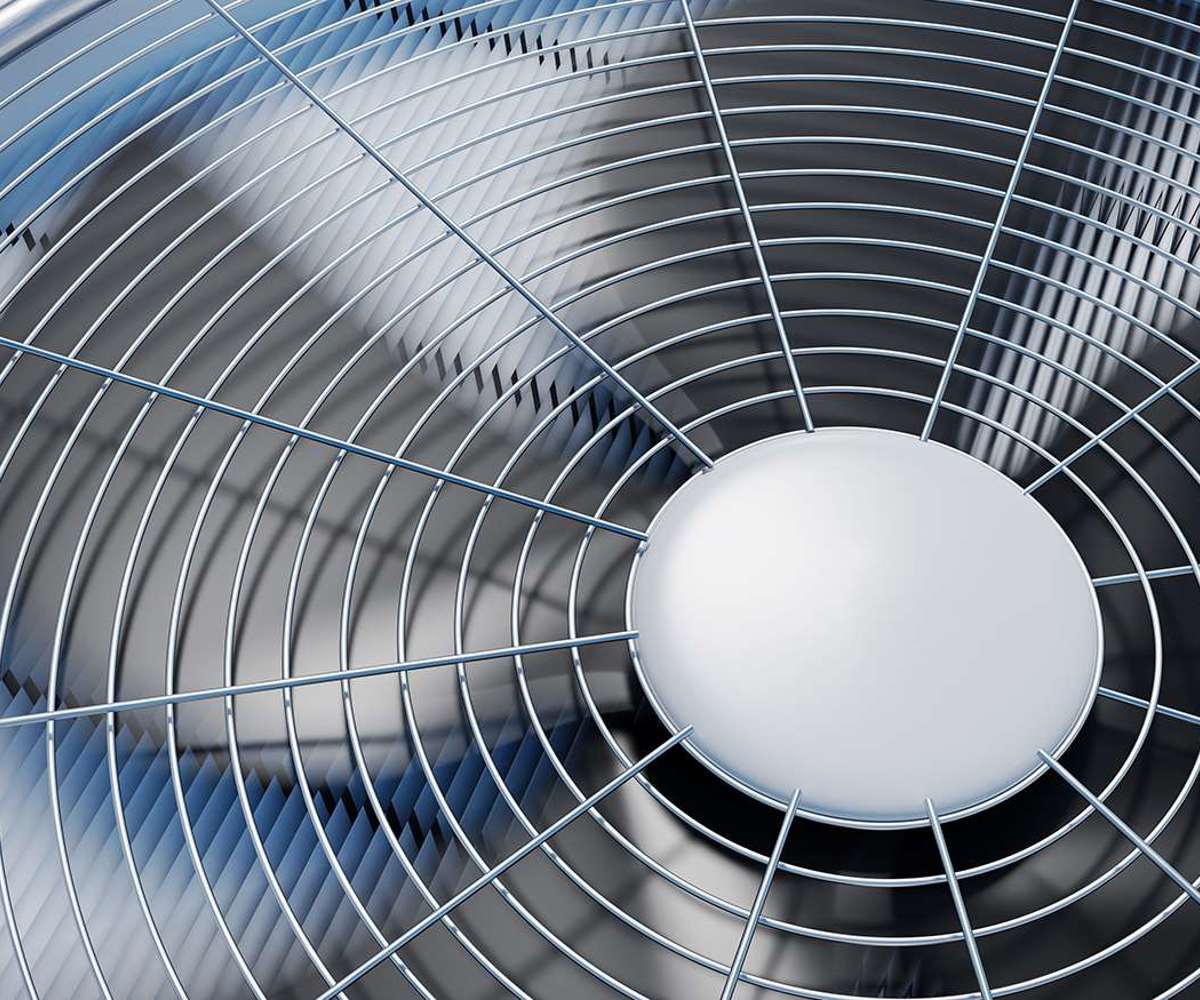 Shutterstock 1011933262